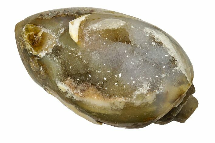 Chalcedony Replaced Gastropod With Sparkly Quartz - India #188809